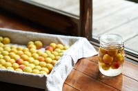 サムネイル 「梅しごと」で伝える豊かな日本の食卓　〜基本の梅酒の作り方