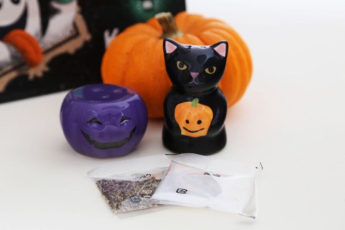 カルディ】売り切れ必至！カワイイ ハロウィンの黒猫グッズを手に入れ