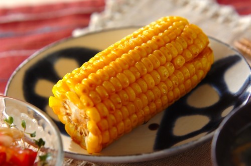 ̖IĂƂ낱 tCpŊȒP by{ q