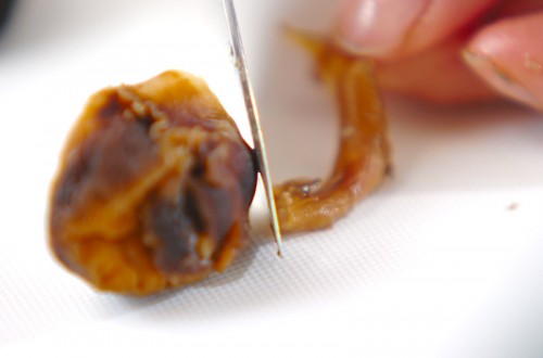 サザエの壺焼きの作り方3