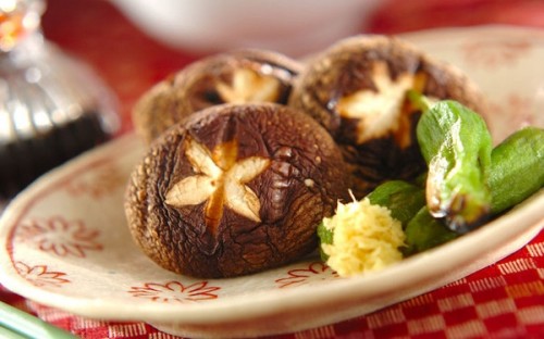 TlC Ŏ|݂ՂIuFv̖͂Ƃ́H`V̐lCnVs3I`FbN