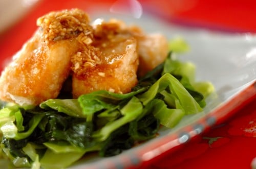 �y�����̌����z2026�N2��20��(��)�u�T�����̂���g�������_���v