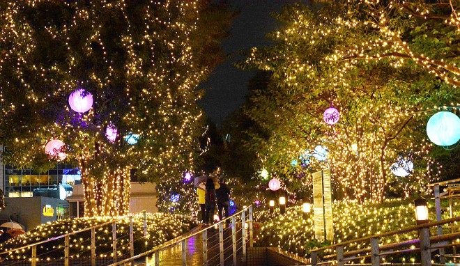VheXVeBiEVhjwShinjuku Terrace City ILLUMINATION'15-'16x