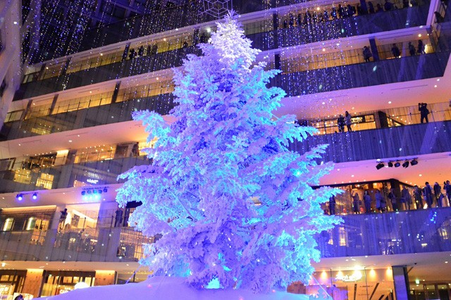 KITTEiEcjwWHITE KITTEx