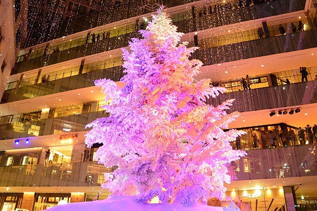 KITTEiEcjwWHITE KITTEx