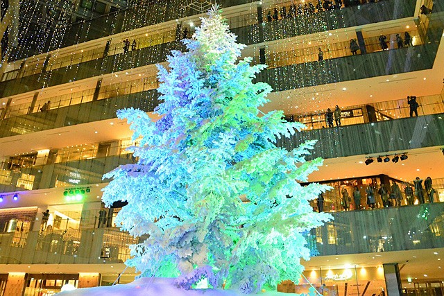 KITTEiEcjwWHITE KITTEx