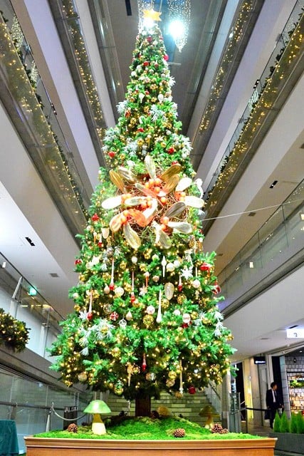 \QqYiE`jwlXWꏊ`c[̉̃K[fp[eB[`x