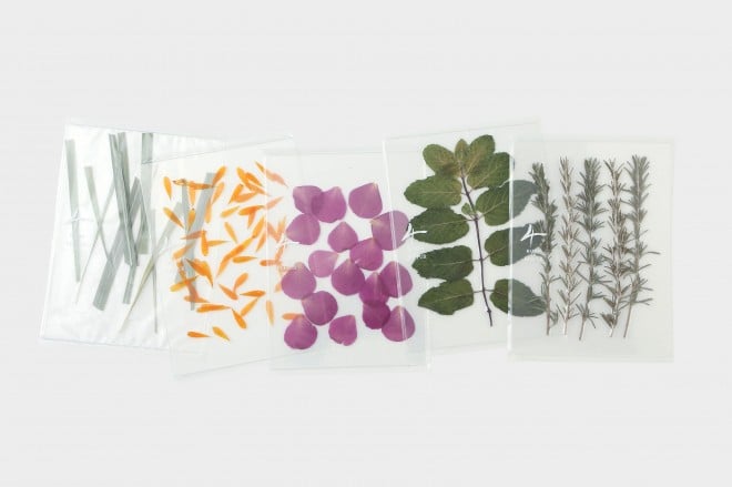 ԃvf[XuMAISON DE REEFURv4NLORNV@uAN{[hn[ueB[viŕ3500~j