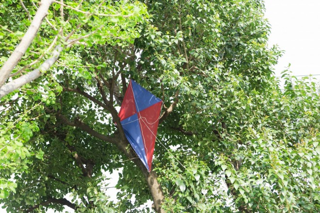 Z{؂ŊJÂĂWuǁA͂߂܂ăXk[s[v