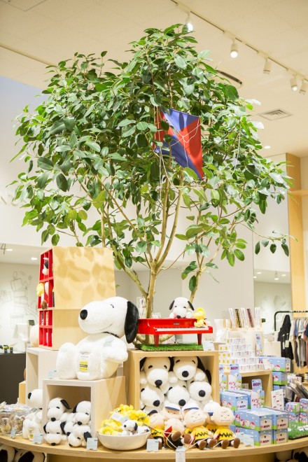 Z{؂ŊJÂĂWuǁA͂߂܂ăXk[s[v