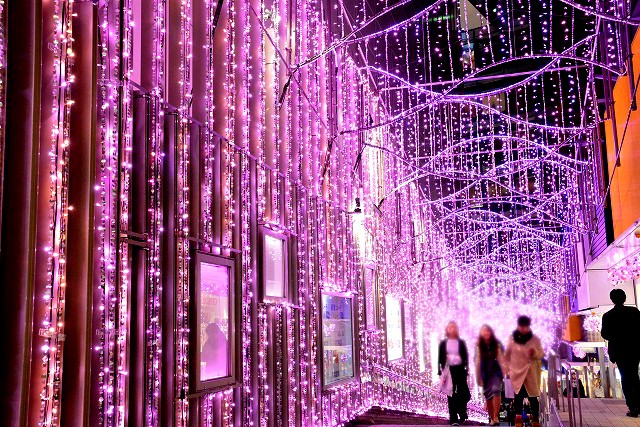 �w�V�h�e���X�V�e�B �C���~�l�[�V����'16-'17�x�i�����E�V�h�^�a�J�^2017�N2��14���܂Łj