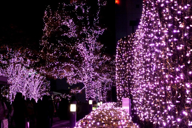 �w�V�h�e���X�V�e�B �C���~�l�[�V����'16-'17�x�i�����E�V�h�^�a�J�^2017�N2��14���܂Łj