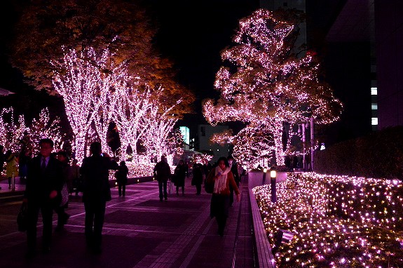 �w�V�h�e���X�V�e�B �C���~�l�[�V����'16-'17�x�i�����E�V�h�^�a�J�^2017�N2��14���܂Łj