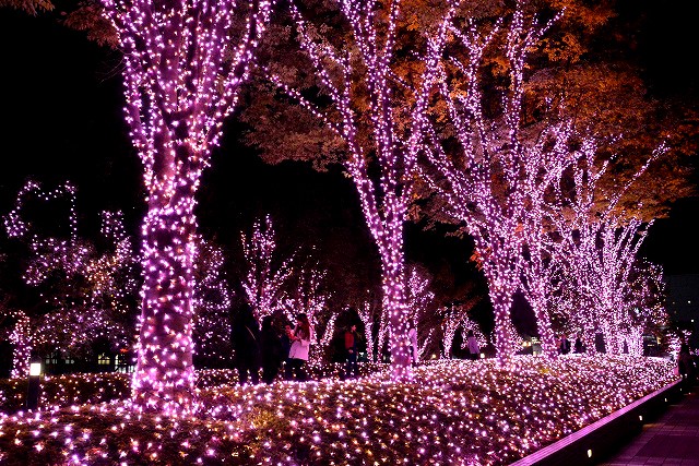 �w�V�h�e���X�V�e�B �C���~�l�[�V����'16-'17�x�i�����E�V�h�^�a�J�^2017�N2��14���܂Łj