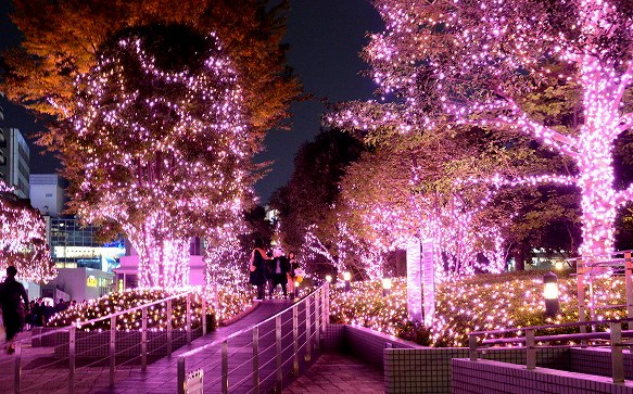 �w�V�h�e���X�V�e�B �C���~�l�[�V����'16-'17�x�i�����E�V�h�^�a�J�^2017�N2��14���܂Łj