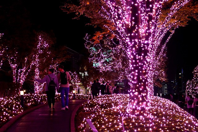 �w�V�h�e���X�V�e�B �C���~�l�[�V����'16-'17�x�i�����E�V�h�^�a�J�^2017�N2��14���܂Łj