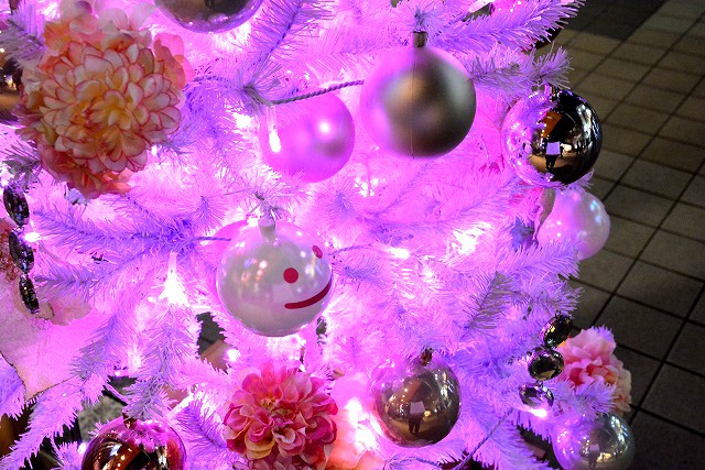 �w�V�h�e���X�V�e�B �C���~�l�[�V����'16-'17�x�i�����E�V�h�^�a�J�^2017�N2��14���܂Łj