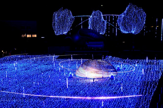 �w�~�b�h�^�E���E�N���X�}�X2016�x�i�����~�b�h�^�E���^�����E�`��^12��25���܂Łj