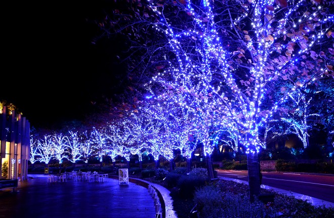 �w�~�b�h�^�E���E�N���X�}�X2016�x�i�����~�b�h�^�E���^�����E�`��^12��25���܂Łj