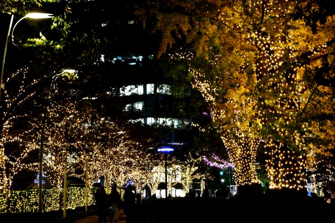 �w�~�b�h�^�E���E�N���X�}�X2016�x�i�����~�b�h�^�E���^�����E�`��^12��25���܂Łj