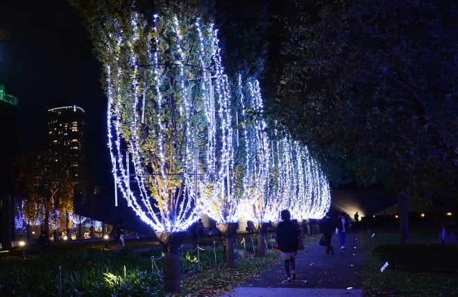 �w�~�b�h�^�E���E�N���X�}�X2016�x�i�����~�b�h�^�E���^�����E�`��^12��25���܂Łj