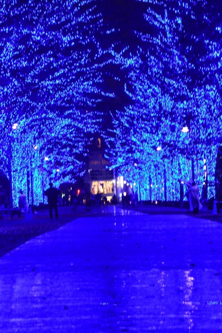 �w�̓��ASHIBUYA�x�i��X�،������^�����E�a�J��^2017�N1��9���܂Łj