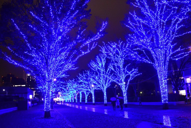 �w�̓��ASHIBUYA�x�i��X�،������^�����E�a�J��^2017�N1��9���܂Łj