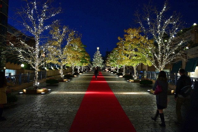 �wBaccarat ETERNAL LIGHT-���т̂�����-�x�i�b����K�[�f���v���C�X�^�����E�a�J�^2017�N1��9���܂Łj