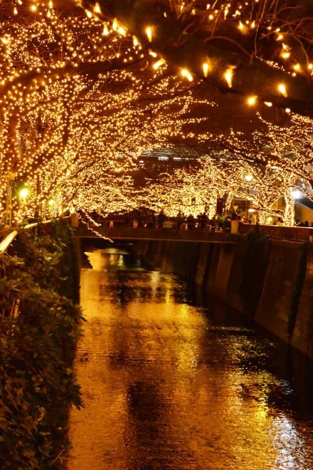 �wNAKAMEGURO JEWEL DOME 2016�x�i���ڍ��A�ڍ��쉈���^�����E�ڍ���^25���܂Łj