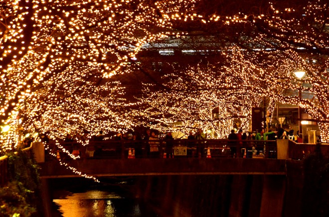 �wNAKAMEGURO JEWEL DOME 2016�x�i���ڍ��A�ڍ��쉈���^�����E�ڍ���^25���܂Łj