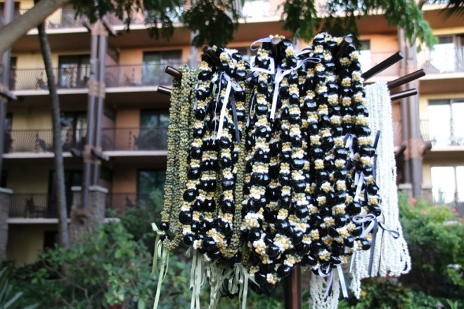 VoꂵG^[eCgV[uJE@AFAEEAbgEAEjvŔz郌C