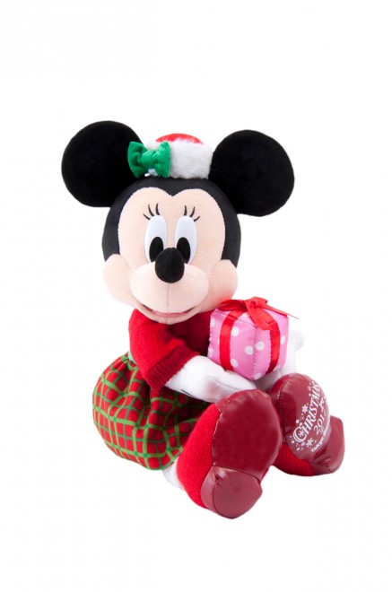 ʂ݁i4500~j^̔X܁FOhG|[A