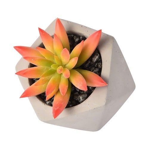 V[Ỹe[}́uBlooming Storyv@Francfranc2016NtRNV