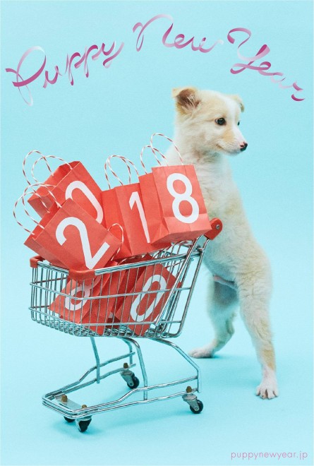 NŗeTvWFNgw#PUPPY NEW YEARx