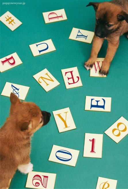 NŗeTvWFNgw#PUPPY NEW YEARx