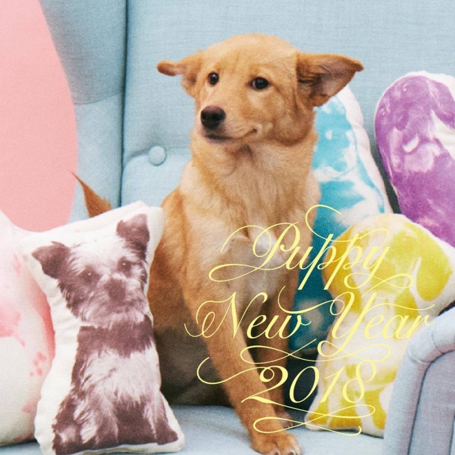 NŗeTvWFNgw#PUPPY NEW YEARx