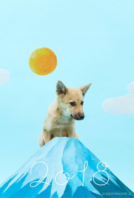 NŗeTvWFNgw#PUPPY NEW YEARx