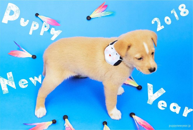 NŗeTvWFNgw#PUPPY NEW YEARx