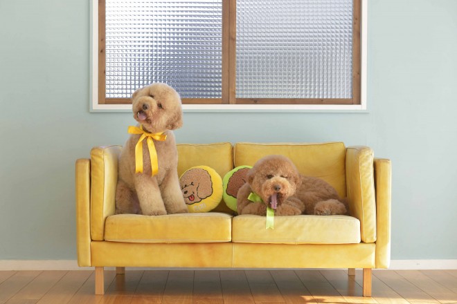 ʐ^WwZIPI WWvv PHOTO BOOKx