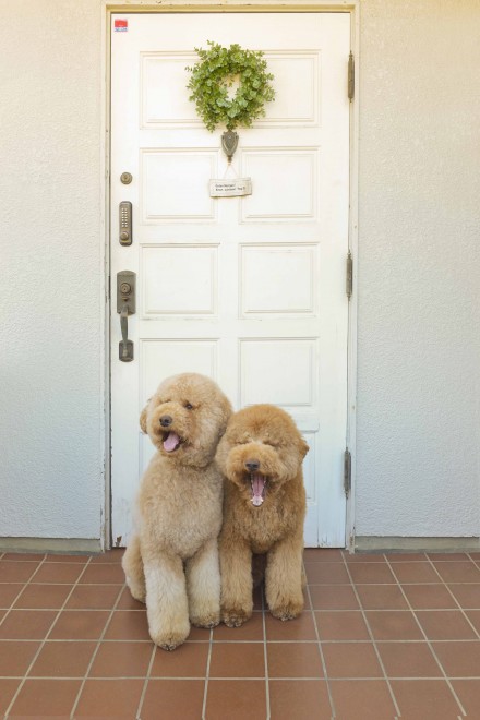 ʐ^WwZIPI WWvv PHOTO BOOKx