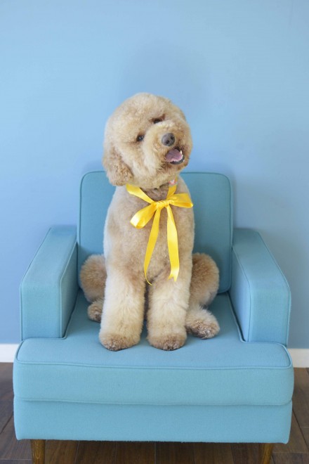 ʐ^WwZIPI WWvv PHOTO BOOKx