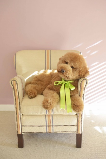 ʐ^WwZIPI WWvv PHOTO BOOKx