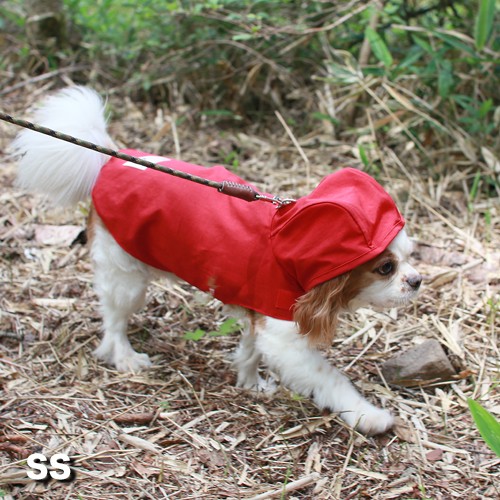 J̓̎UɎgwDeLoreanspCR[gx