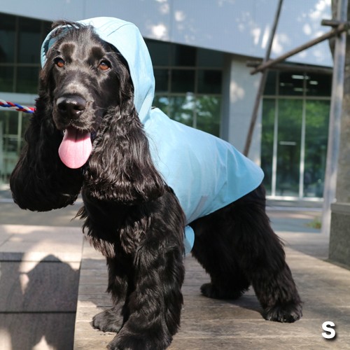 J̓̎UɎgwDeLoreanspCR[gx