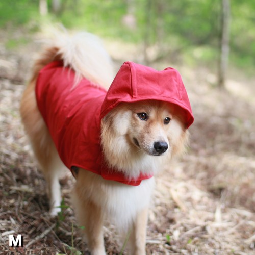 J̓̎UɎgwDeLoreanspCR[gx