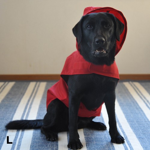 J̓̎UɎgwDeLoreanspCR[gx