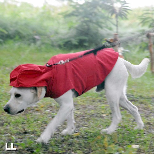 J̓̎UɎgwDeLoreanspCR[gx