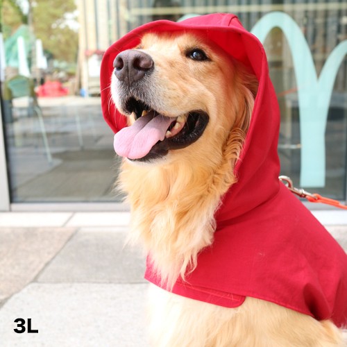 J̓̎UɎgwDeLoreanspCR[gx