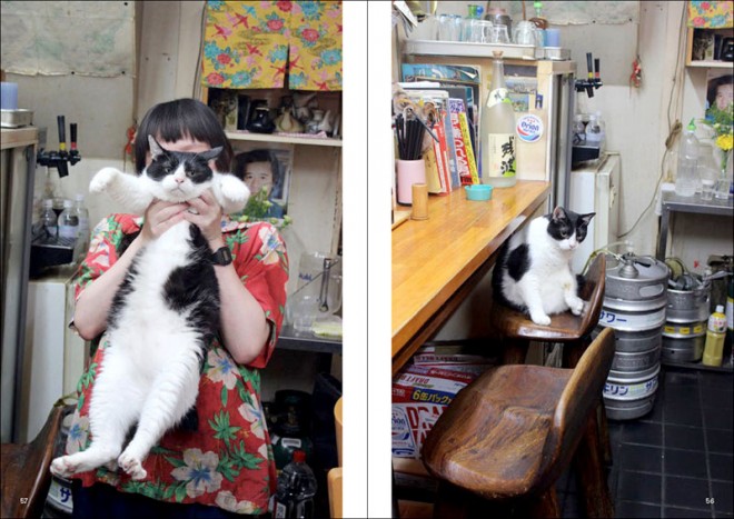 画像・写真  【画像】癒しのネコ写真集、人気猫カフェ潜入u2026 可愛い 