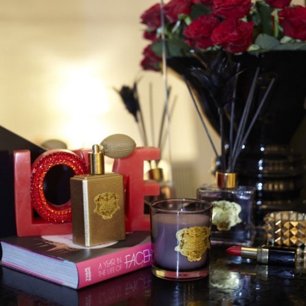 ySCANDALz<br>N䂫AZNV[ȍ